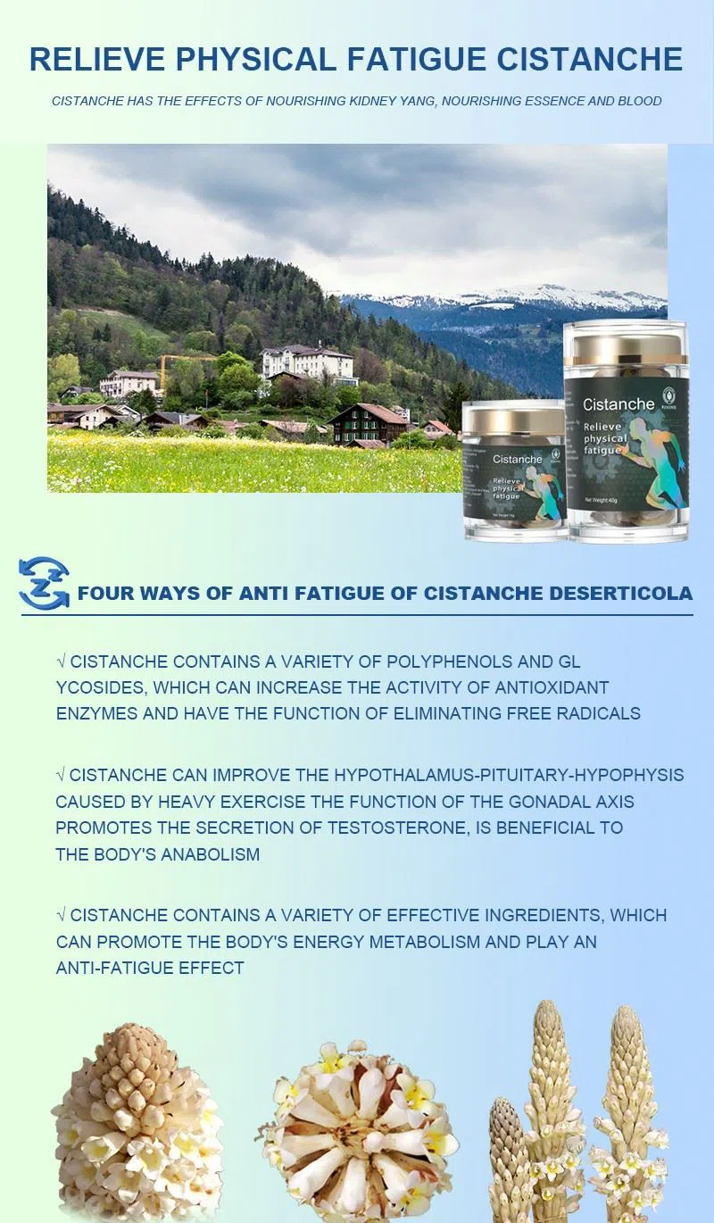 best herb for anti fatigue