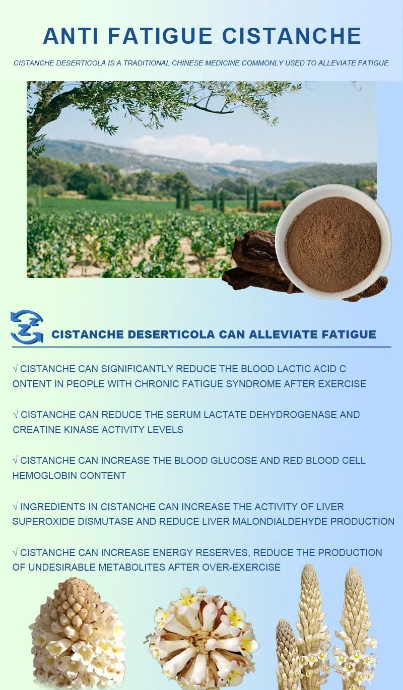 best herb for relieving stress best herb for relieving stress