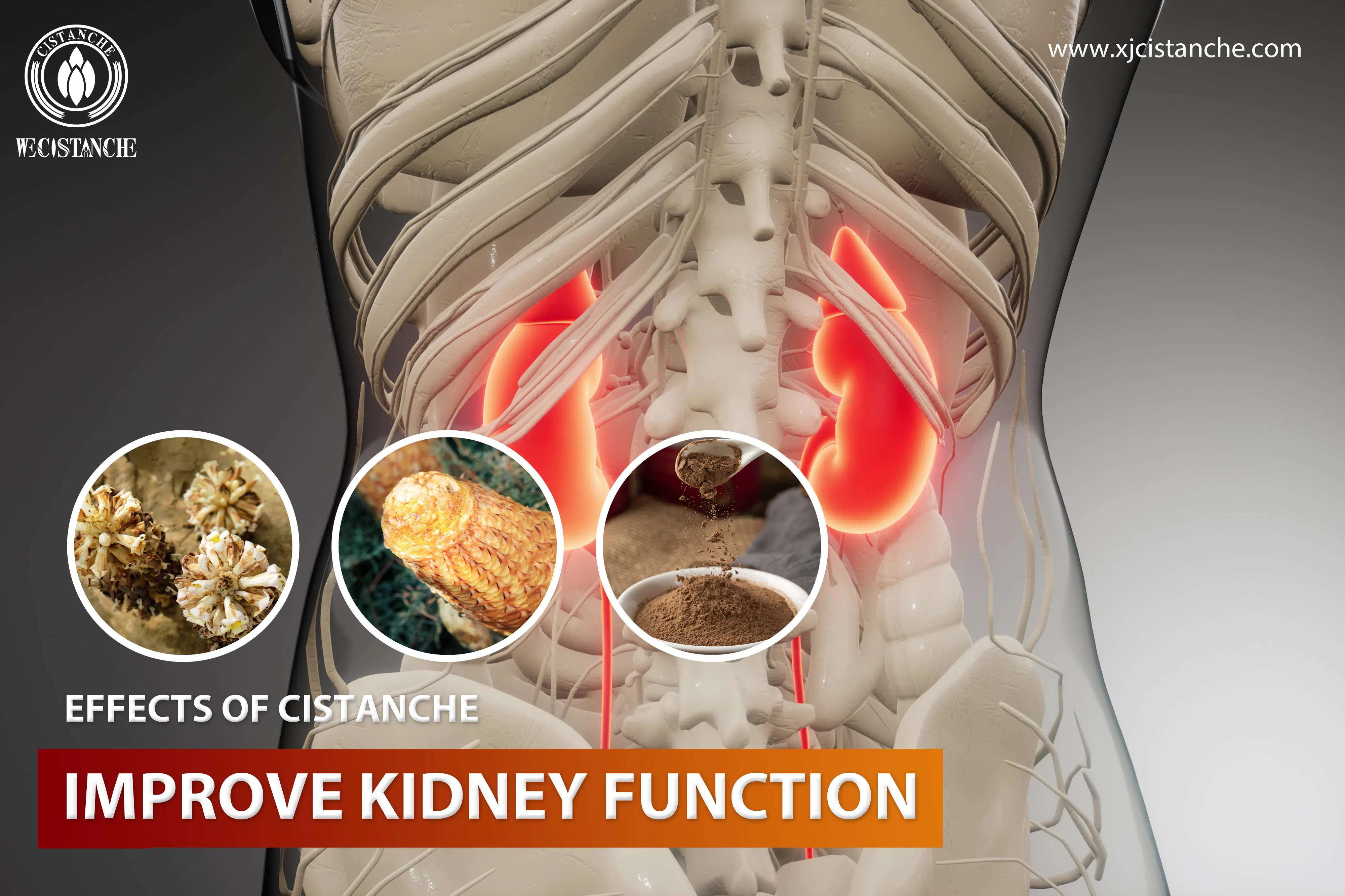 improve kidney function