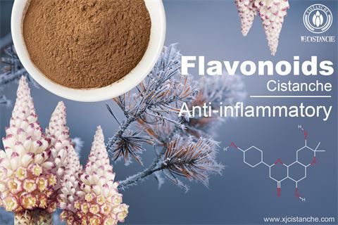 Active Components and Antioxidant Activity of Fresh-cut Cistanchedeserticola Active Components and Antioxidant Activity of Fresh-cut Cistanchedeserticola