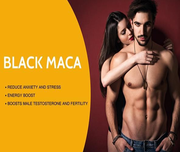 black maca root extract powder1