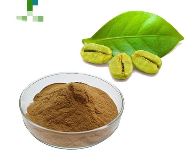 chlorogenic acid powder_ chlorogenic acid powder_