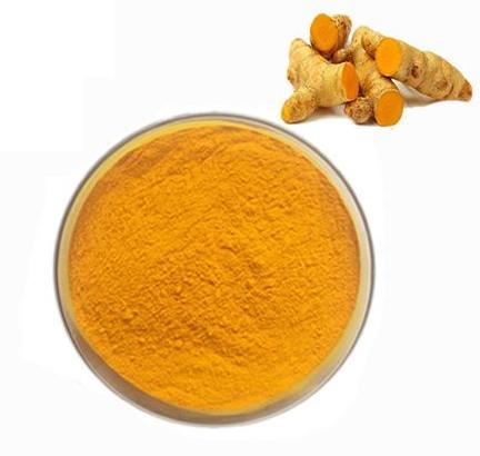 Turmeric root extract powder Turmeric root extract powder