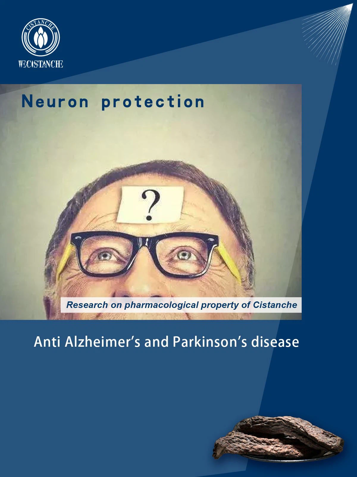 Anti Alzheimer’s