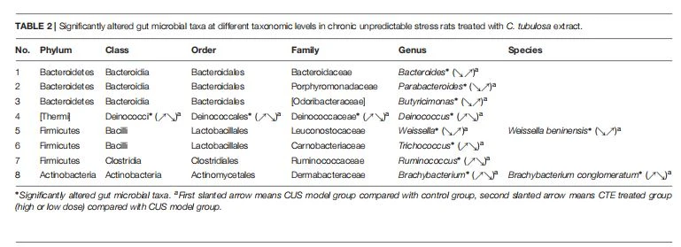 cistanche benefits cistanche benefits
