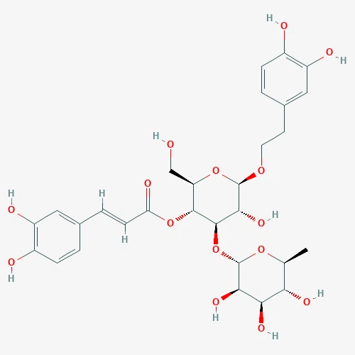 Cistanche Acteoside