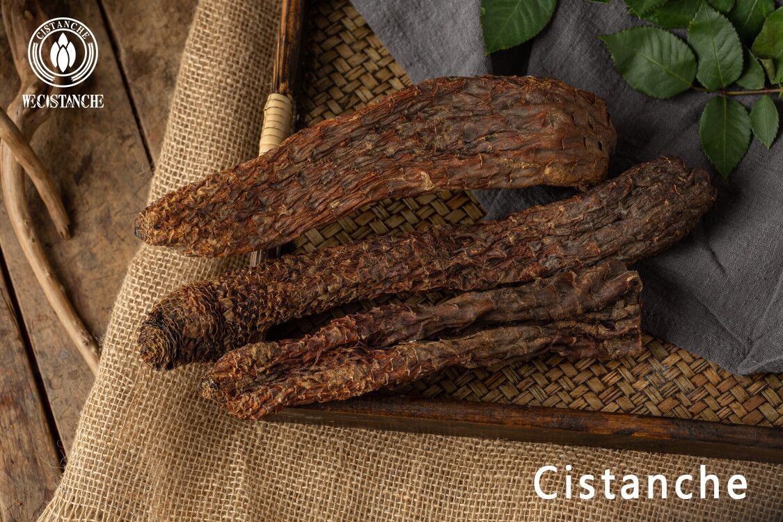 Cistanche stem Cistanche stem