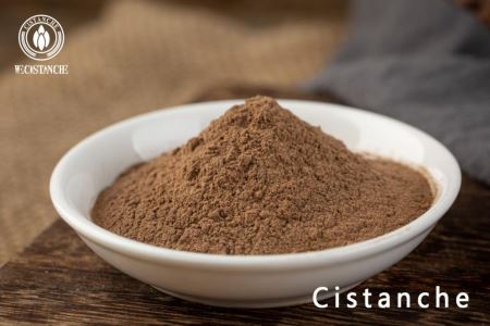 cistanche extract cistanche extract