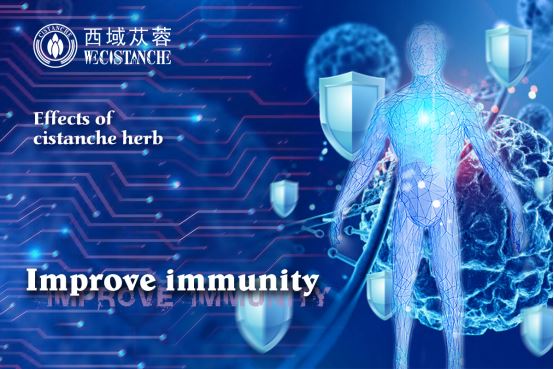 what can cistanche do: improve immunity what can cistanche do: improve immunity