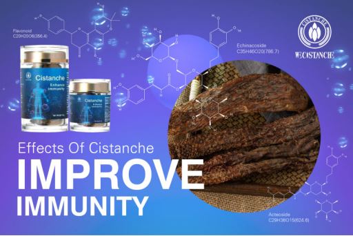 cistanche benefit: improve immunity cistanche benefit: improve immunity