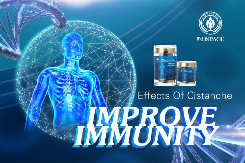 improve immunity improve immunity
