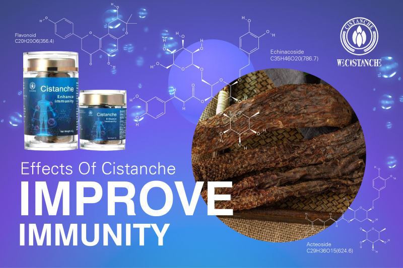 improve immunity improve immunity