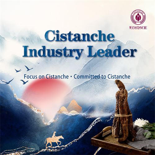 cistanche industry leader cistanche industry leader