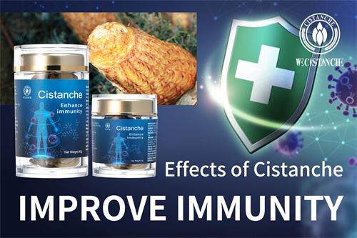 improve immunity Cistanche tubulosa