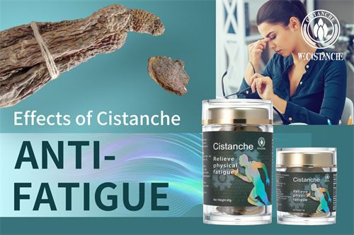 cistanche relieve female fatigue syndrome