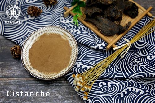 cistanche deserticola benefits cistanche deserticola benefits