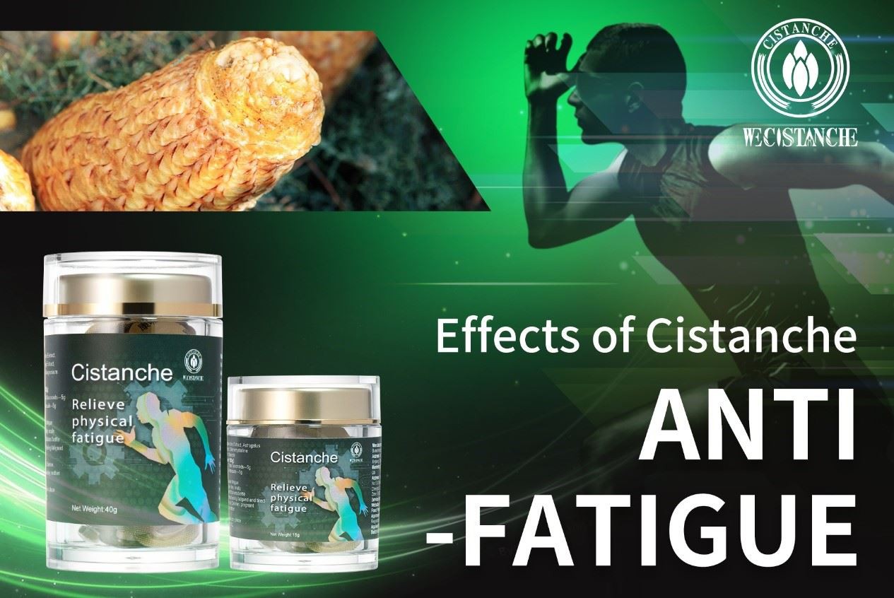 cistanche anti-fatigue