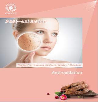 cistanche total glycoside: anti-oxidation 