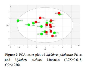 PCA score plot of Mylabris phalerata Pallas and Mylabris cichorii Linnaeus (R2X=0.618, Q2=2.236)