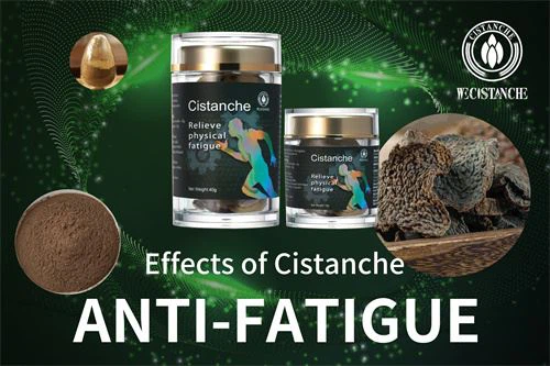 Benefits of Cistanche Extract and Cistanche Supplements:anti-fatigue Benefits of Cistanche Extract and Cistanche Supplements:anti-fatigue