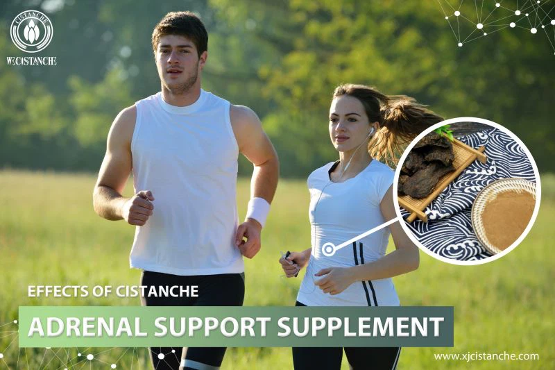 Effects of Cistanche Adrenal Support Supplement