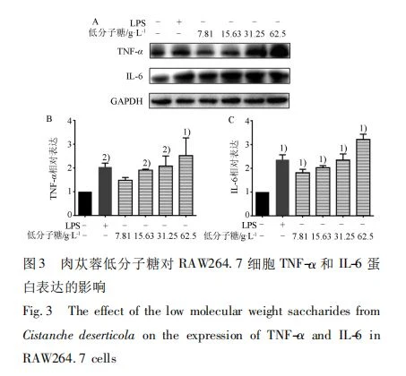 The effect of the low molecular weight saccharides from Cistanche deserticola on the expression of TNF-α and IL-6 in RAW264. 7 cells The effect of the low molecular weight saccharides from Cistanche deserticola on the expression of TNF-α and IL-6 in RAW264. 7 cells