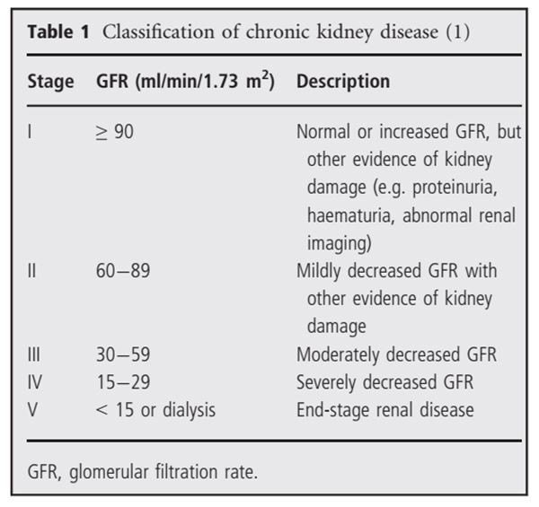 cistanche kidney improvement