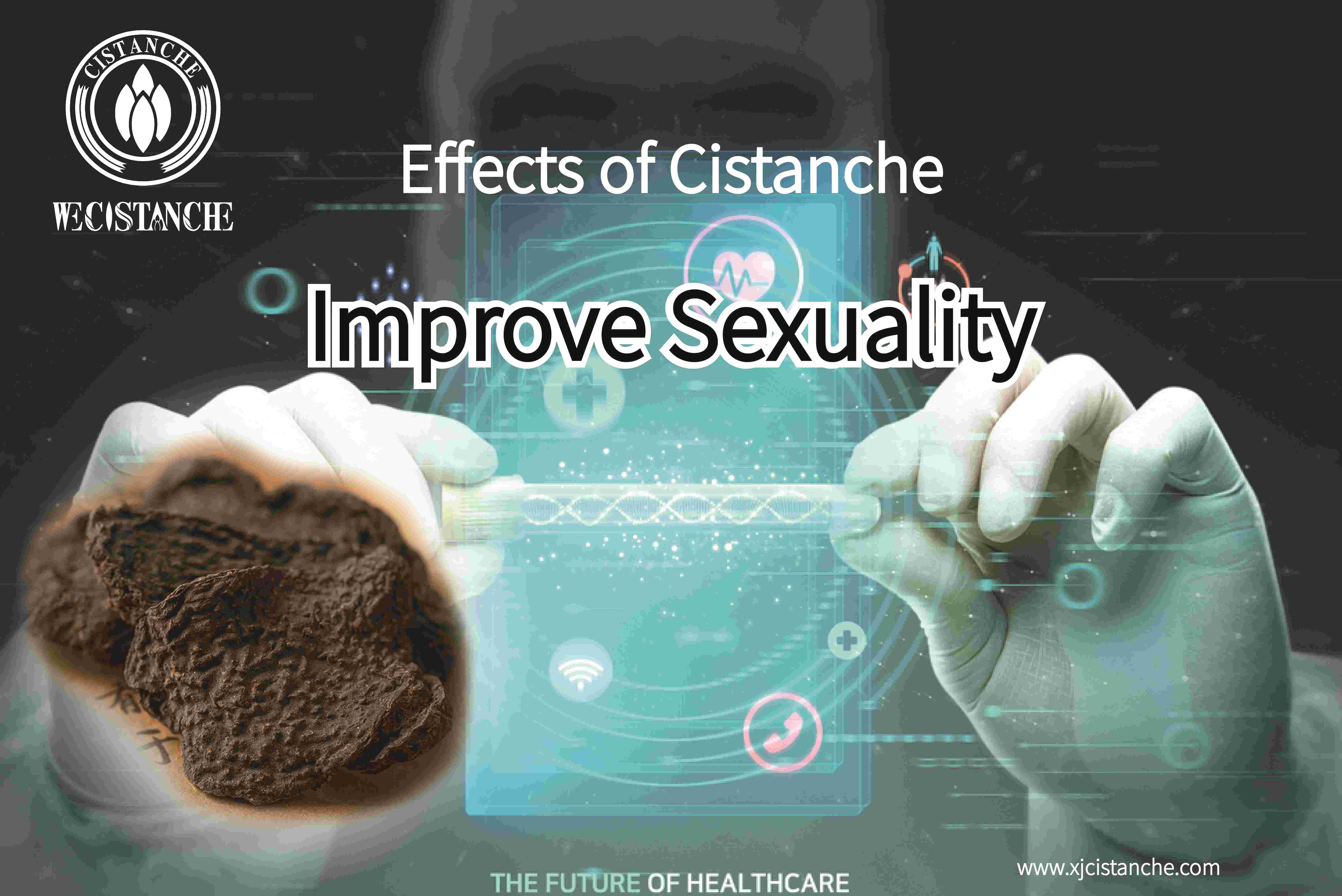 Cistanche tubulosa imorive kidney function Cistanche tubulosa imorive kidney function