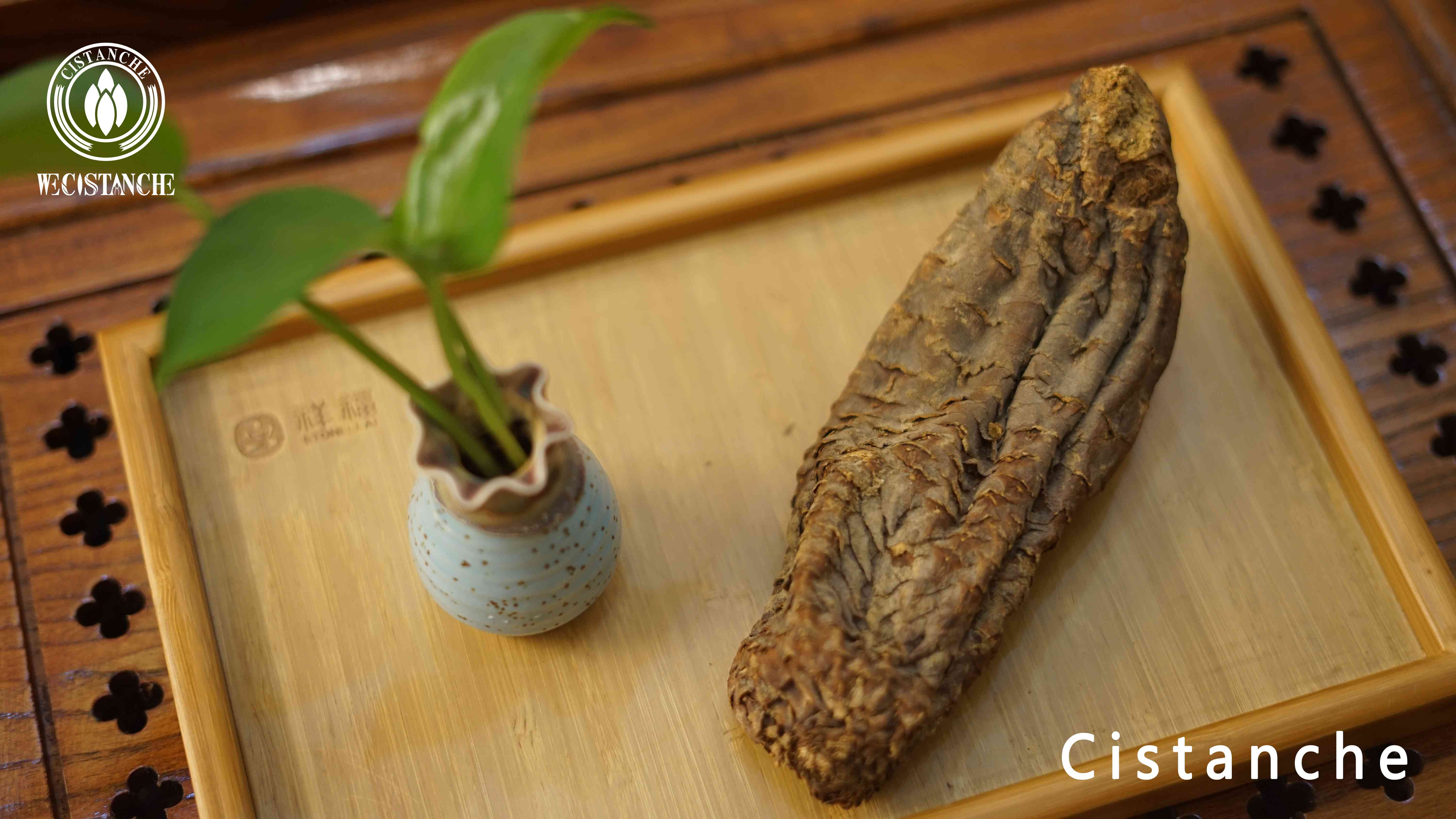 Cistanche can not only nourish the kidneys but also delay aging Cistanche can not only nourish the kidneys but also delay aging