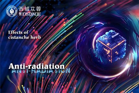 cistanche can anti-radiation cistanche can anti-radiation