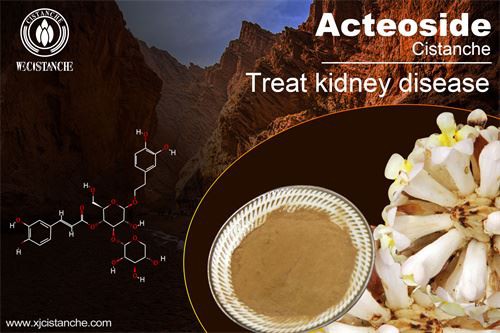 to anti-inflammation and cure renal disease