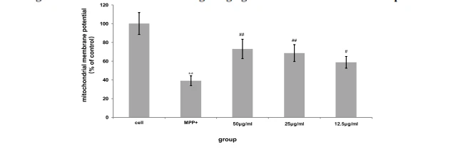The effect of water extract of Fomitopsis Pinicola on MPP+ -induced mitochondrial membrane potential of mesencephala DA neurons The effect of water extract of Fomitopsis Pinicola on MPP+ -induced mitochondrial membrane potential of mesencephala DA neurons