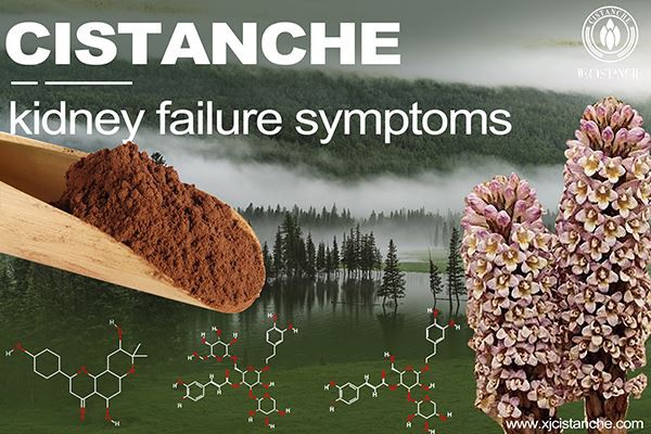 How is the phosphoinositide 3-kinase inhibitor alpelisib used for  Lowe syndrome/Dent disease? 