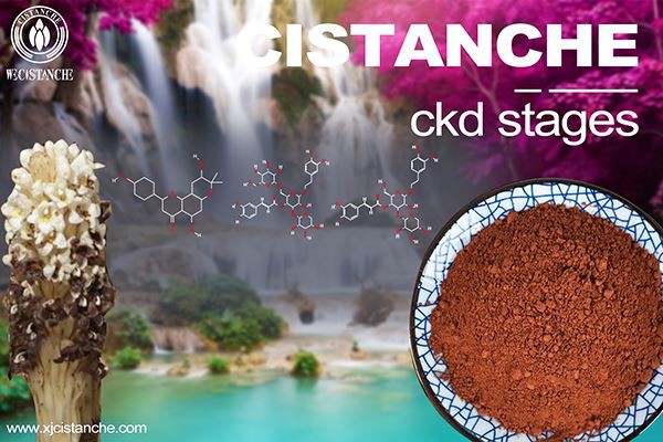 How is the phosphoinositide 3-kinase inhibitor alpelisib used for  Lowe syndrome/Dent disease? 
