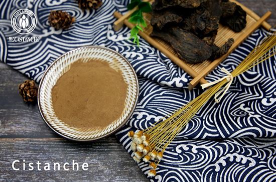 Cistanche extract Cistanche extract