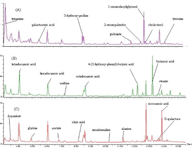 Cistanches can be used to treat kidney-deficiency syndrome Cistanches can be used to treat kidney-deficiency syndrome