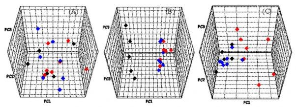 Cistanches for kidney-deficiency syndrome Cistanches for kidney-deficiency syndrome