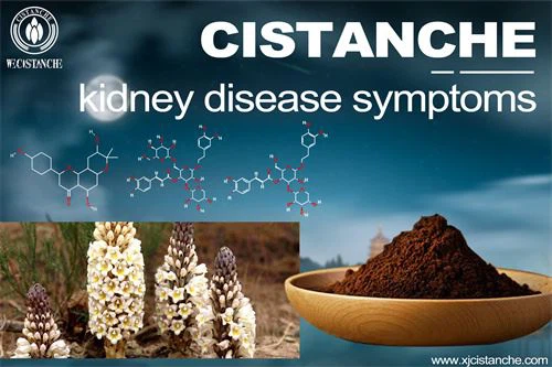 to relieve kidney disease symptoms to relieve kidney disease symptoms