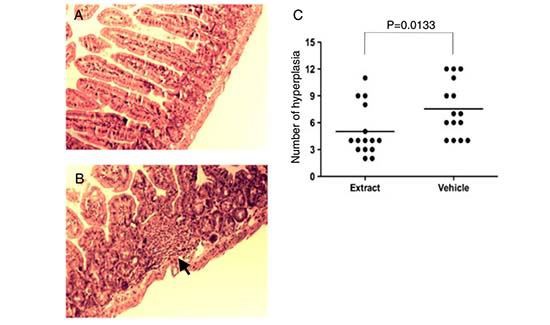 figure 1 figure 1