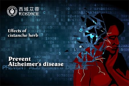 echinacoside treat neurodegenerative illnesses