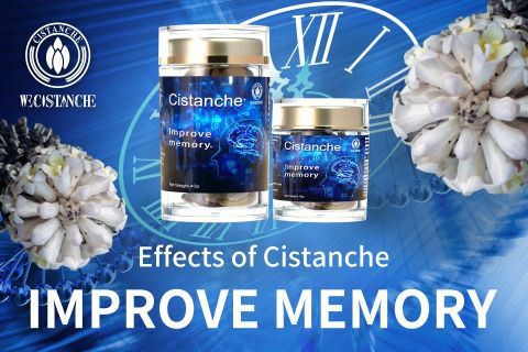 Cistanche-improve memory3