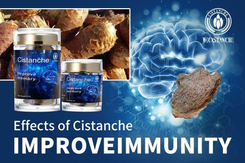 Cistanche Cistanche