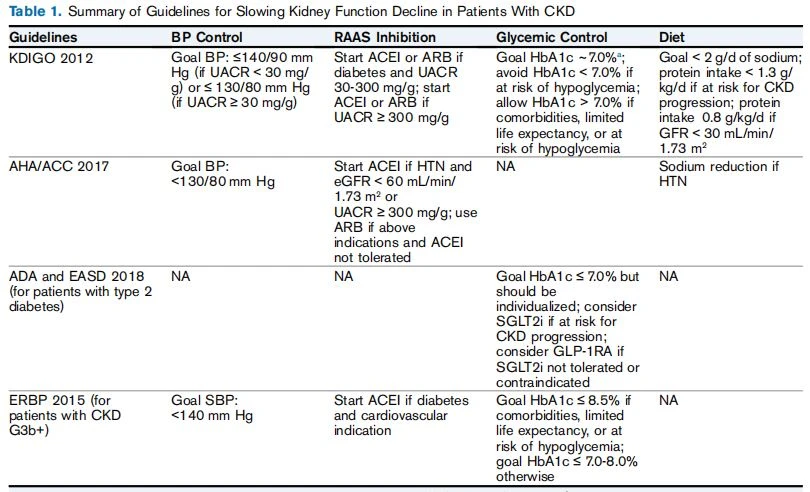 Summary of Guidelines for Slowing Kidney Function Decline in Patients With CKD
