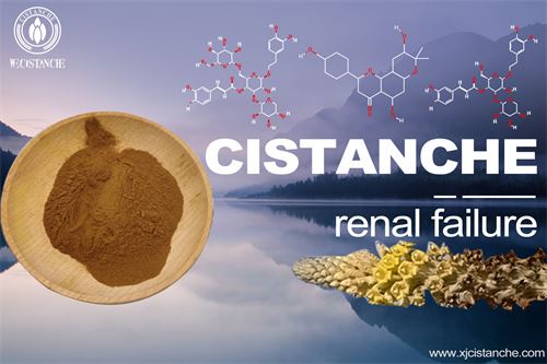 to prevent chronic kidney disease