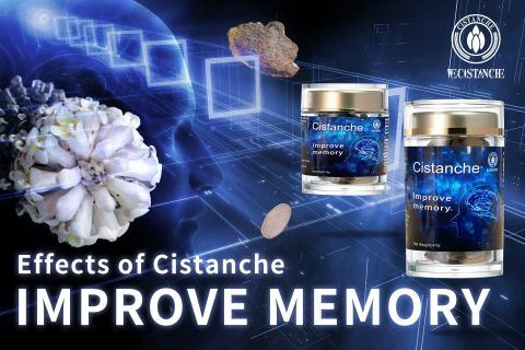 Cistanche-improve memory15