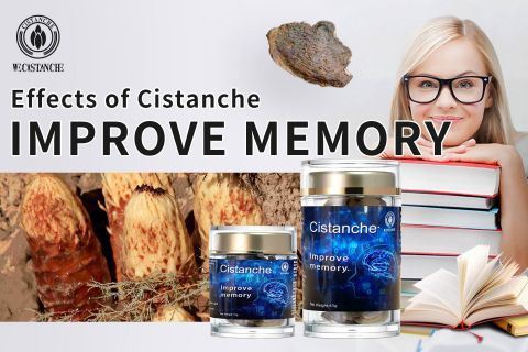 Cistanche-improve memory14