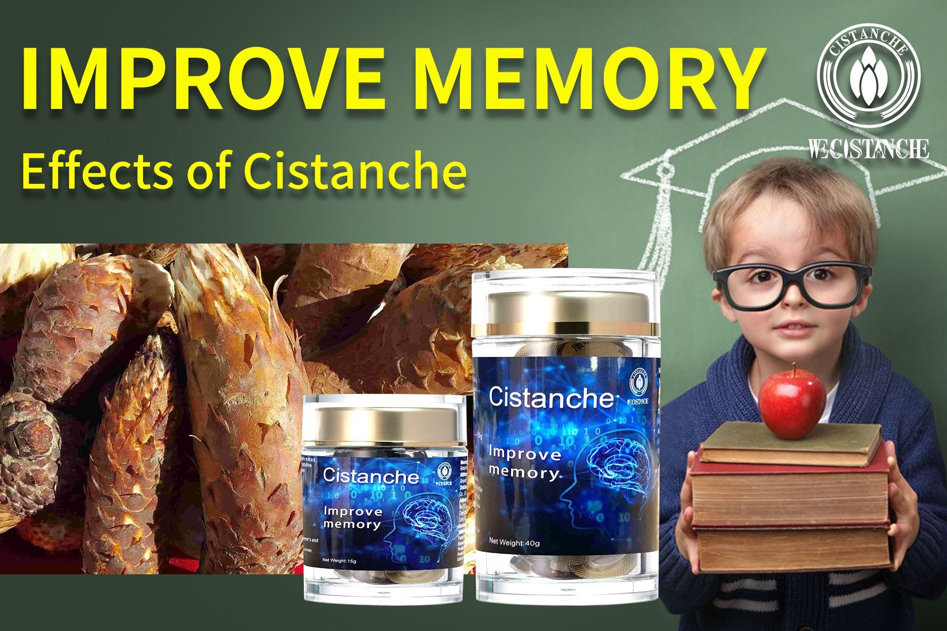 Cistanche stem for improve memroy