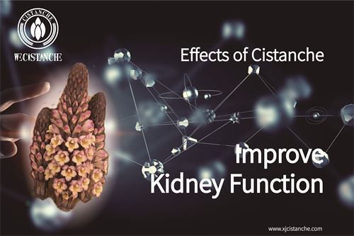 to improve kidney functions prevent Type-2 Diabetes
