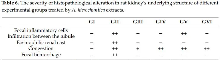 Table 6. The severity of histopathological alteration in rat kidney’s underlying structure of different experimental groups treated by A. hierochuntica extracts. Table 6. The severity of histopathological alteration in rat kidney’s underlying structure of different experimental groups treated by A. hierochuntica extracts.