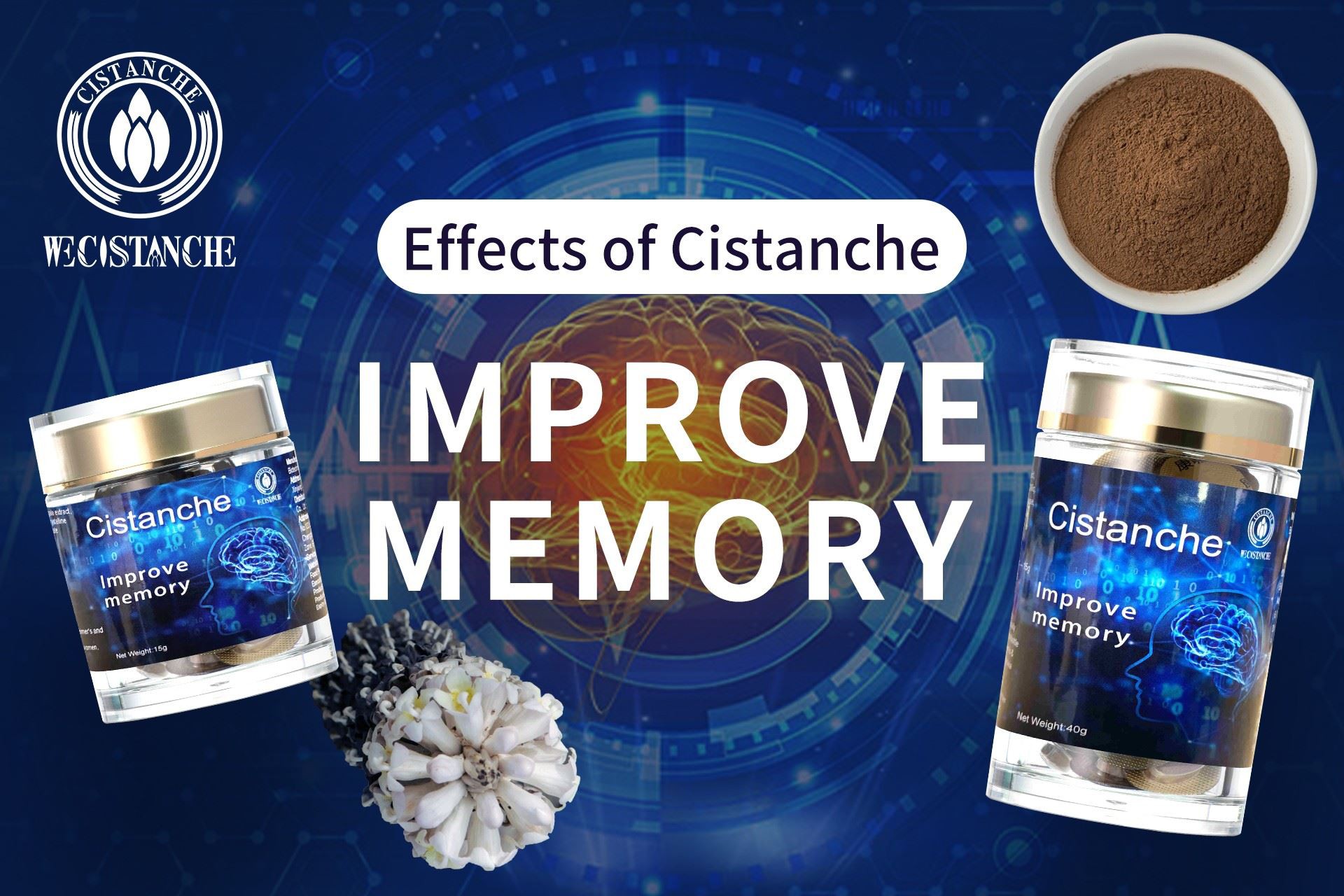 improve memory cistanche extract and supplement